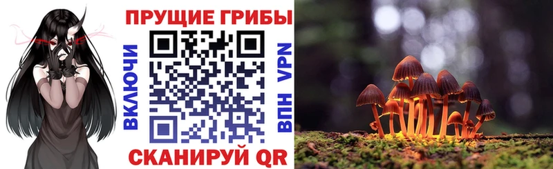дарк нет наркотические препараты  Александров  Галлюциногенные грибы MAGIC MUSHROOMS  сколько стоит 