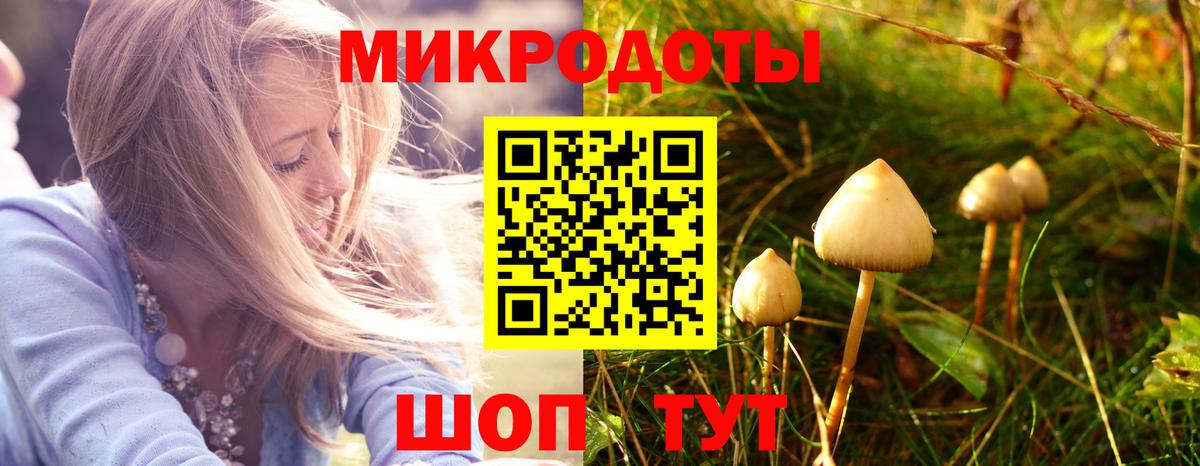 Галлюциногенные грибы ЛСД Александров