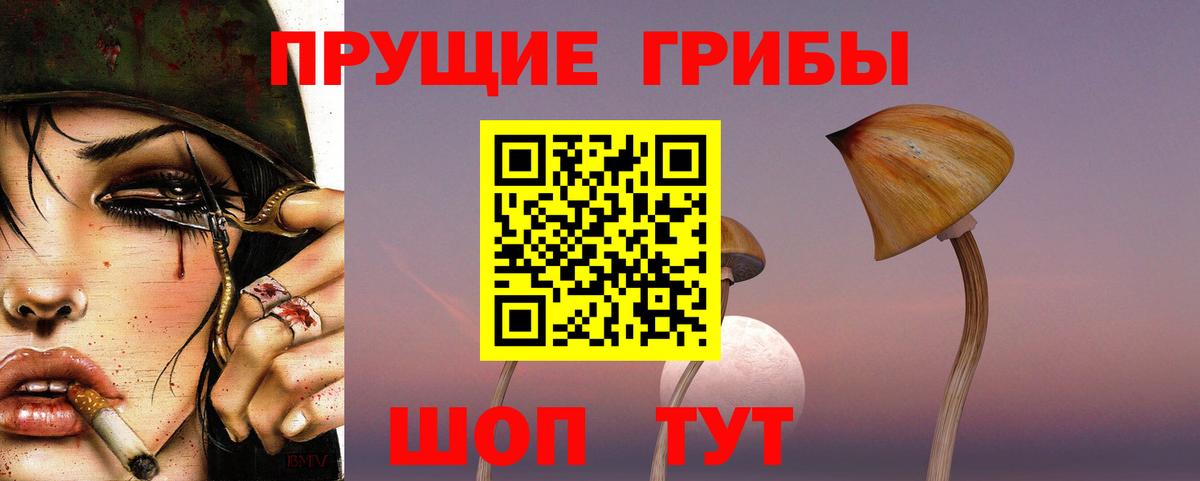 Александров  Галлюциногенные грибы мухоморы  Вход с VPN 